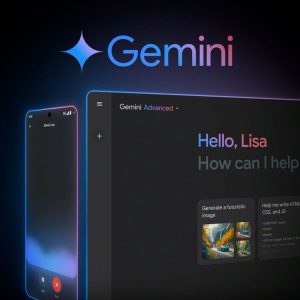 Gemini Premium Owner Account